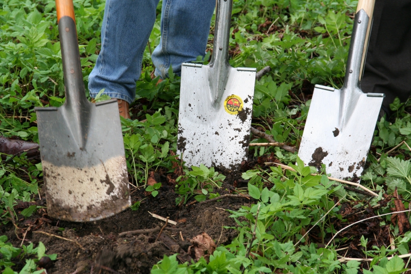 pepiniere-LE LUC-min_work-lawn-flower-tool-green-backyard-1103633-pxhere.com